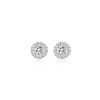 White Gold Diamond & Gemstone Halo Earrings