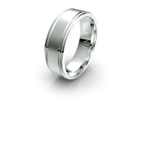 A shiny silver ring with a smooth surface casting a shadow.